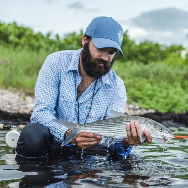 Product Image for  The Check Button Down Shirt