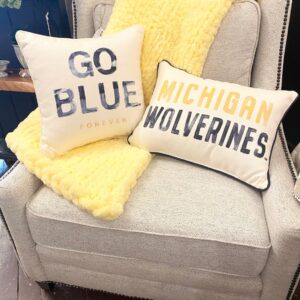 Product Image for  U of M Pillows