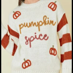 Product Image for  Pumpkin Spice Sweater