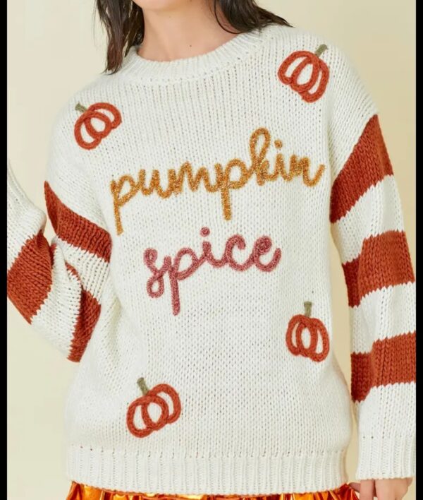 Product Image for  Pumpkin Spice Sweater