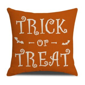 Product Image for  Spooky Pillow Cases- 2 Options