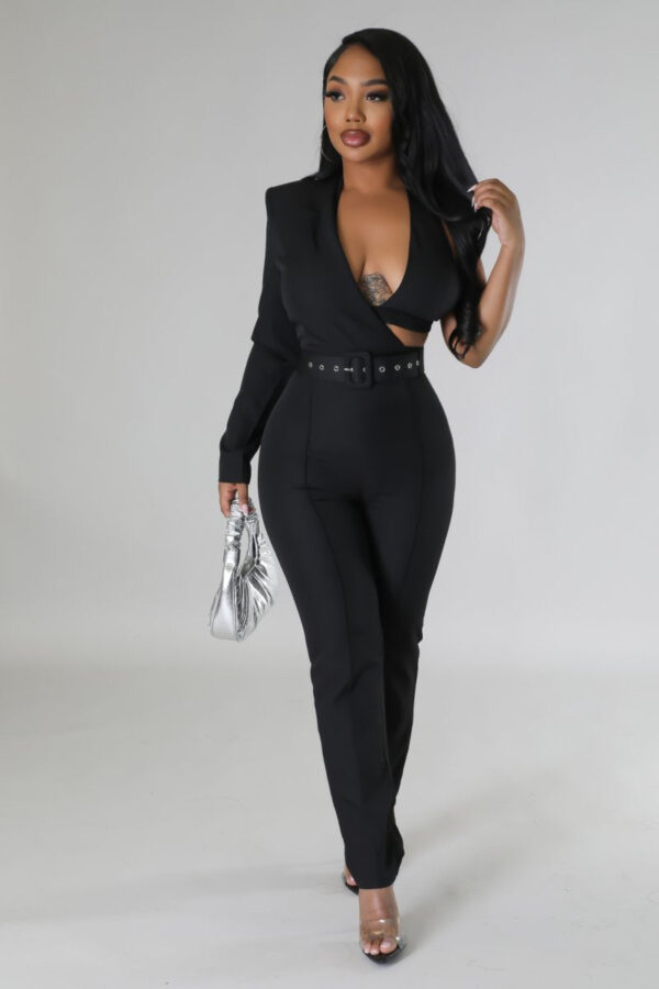 Product Image for  Olivia One Sleeve Jumpsuit