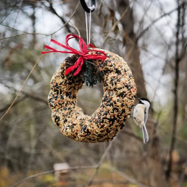 Product Image for  Birdseed Wreath and Birdhouse