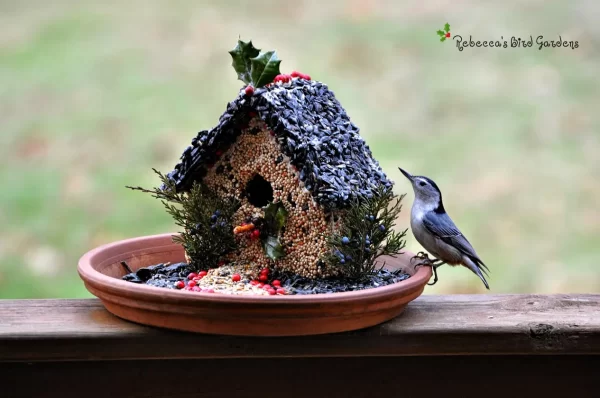 Product Image for  Birdseed Wreath and Birdhouse