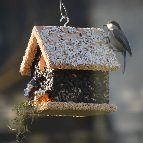 Product Image for  Birdseed Wreath and Birdhouse