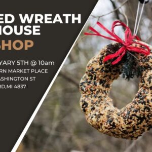 Product Image for  Birdseed Wreath and Birdhouse