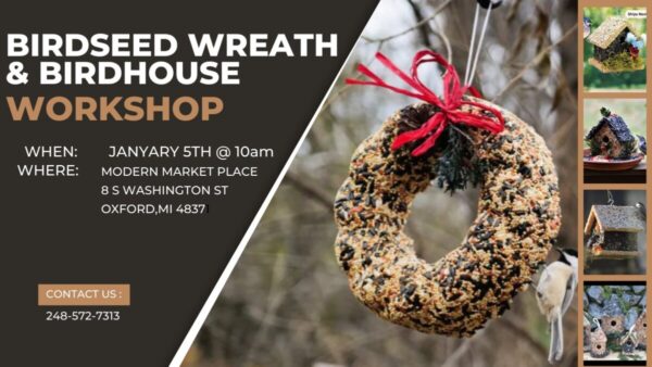 Product Image for  Birdseed Wreath and Birdhouse