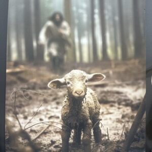 Product Image for  The lost Sheep