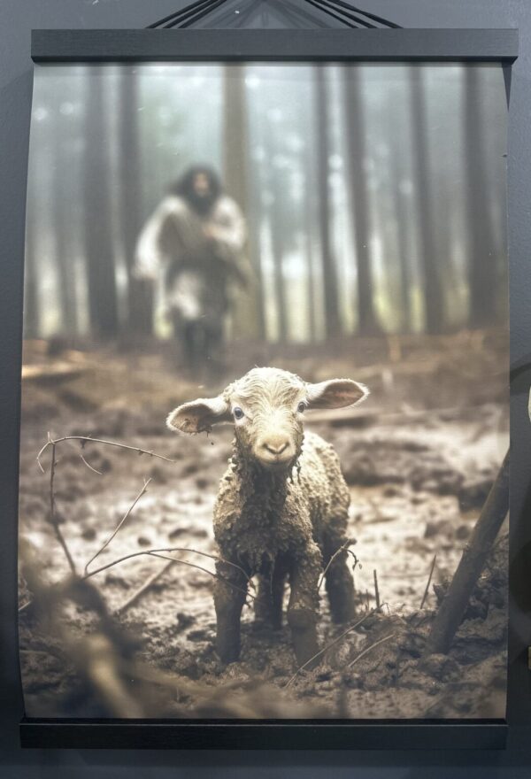 Product Image for  The lost Sheep