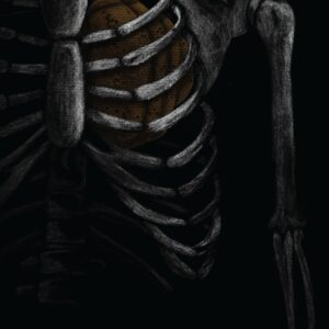 Product Image for  “Skeletal Apiary” by Claire Davis