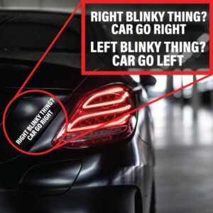 Product Image for  Turn Signal / Blinker Decal